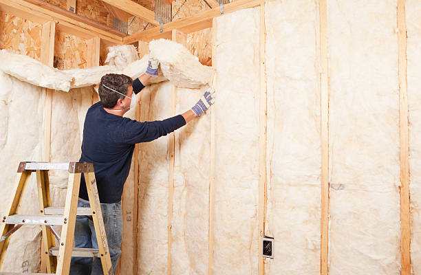 Best Insulation Air Sealing  in Princeton Junction, NJ